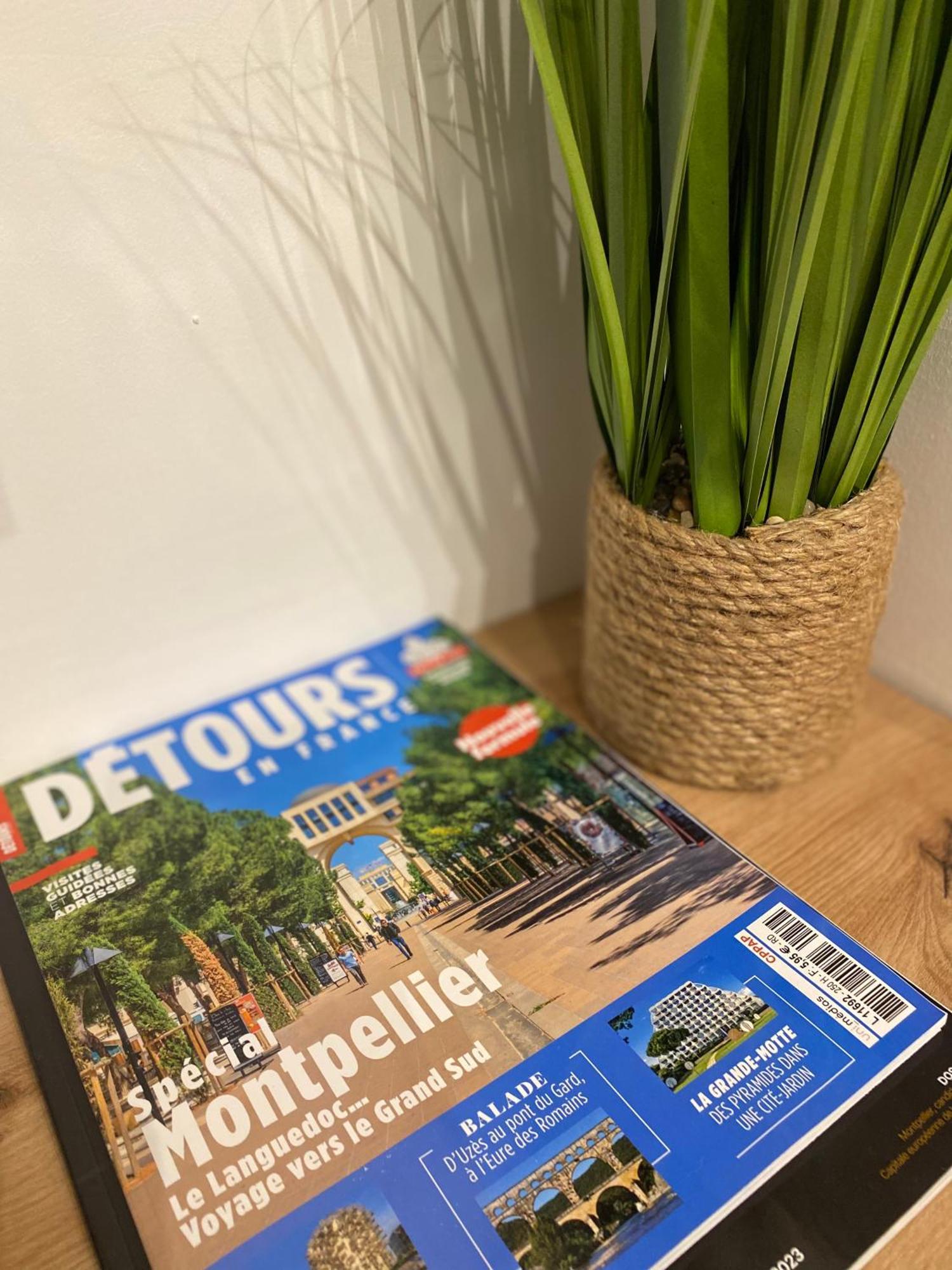 Apartament Rives Du Lez - Prestige Montpellier Zewnętrze zdjęcie